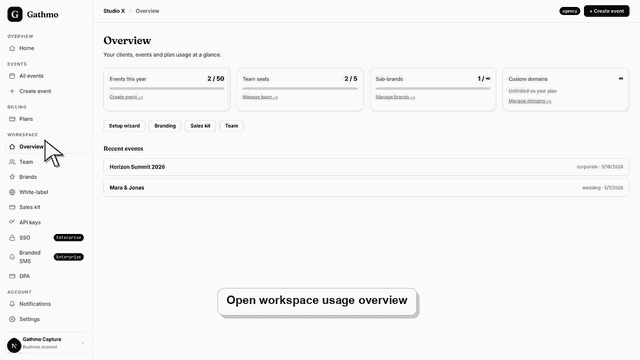 Gathmo dashboard preview for Understand business usage caps