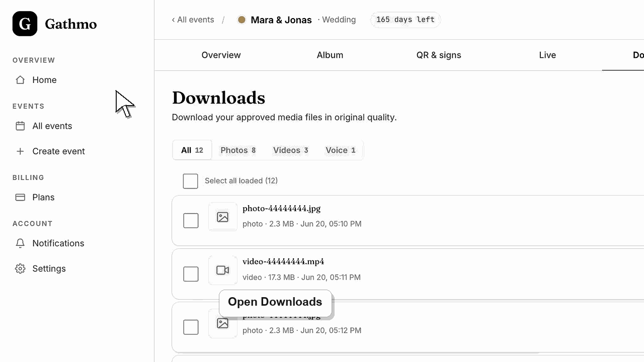 Animated Gathmo dashboard workflow for Download a ZIP or selected files